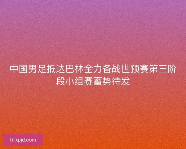 中国男足抵达巴林全力备战世预赛第三阶段小组赛蓄势待发